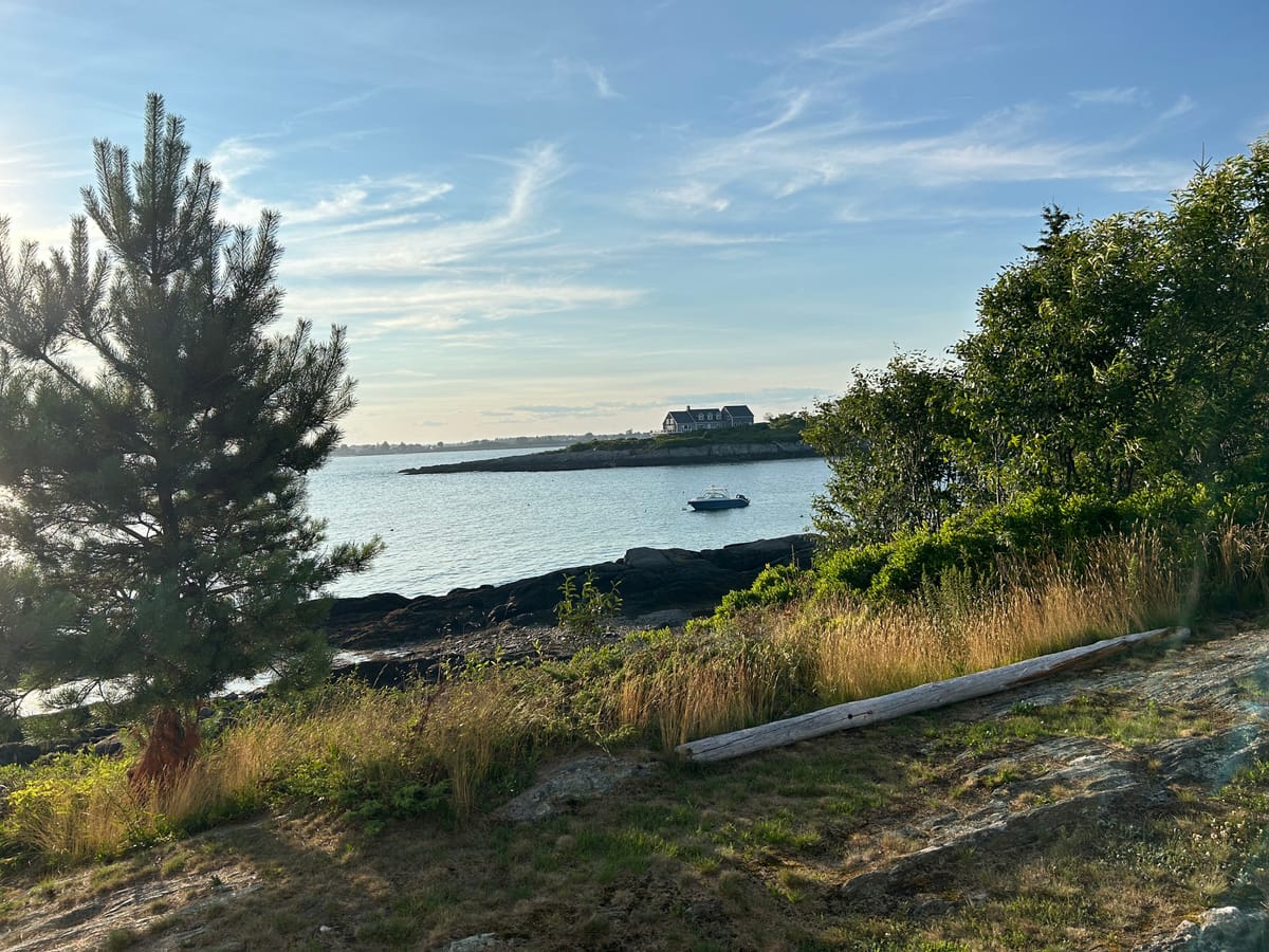 Live Fully, Love Deeply