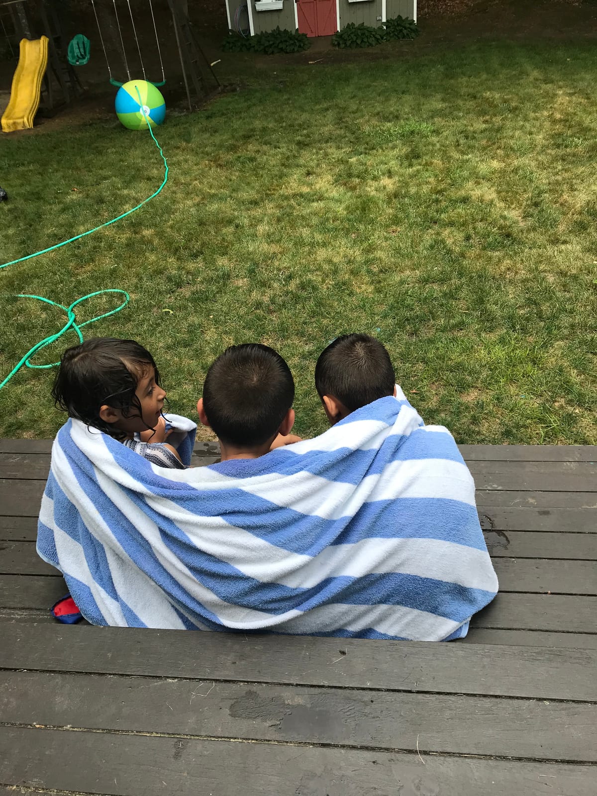 Julian Assange and the Case of One Jealous Mother