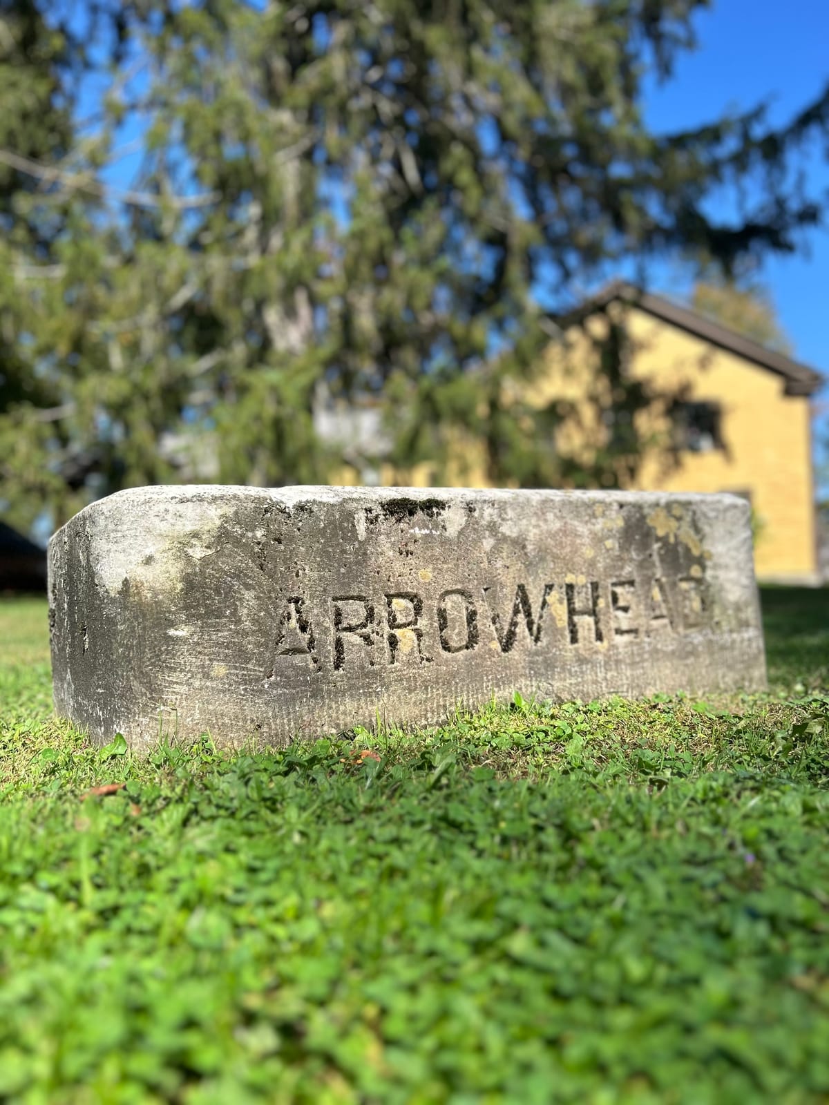 Where Ya Gonna Run, Ma?