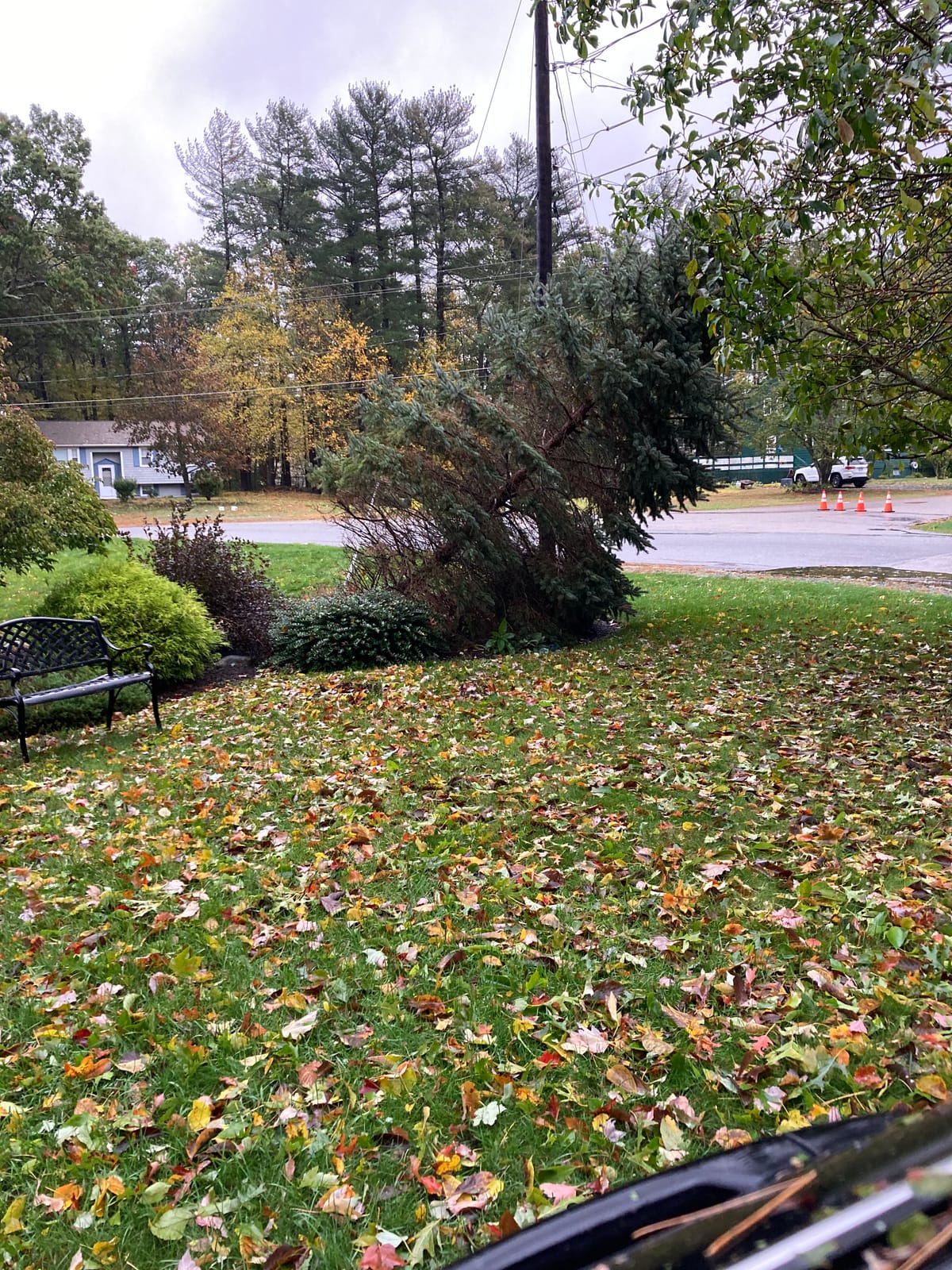 Goddess Mother Nature