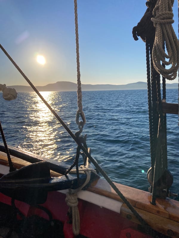 For the Love of Ocean