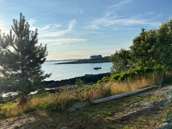 Live Fully, Love Deeply