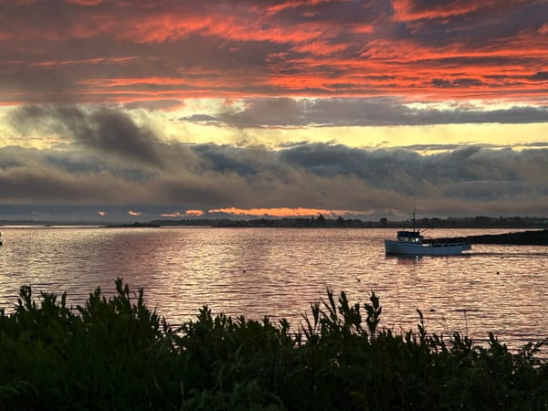 Hot Fun in the Summertime