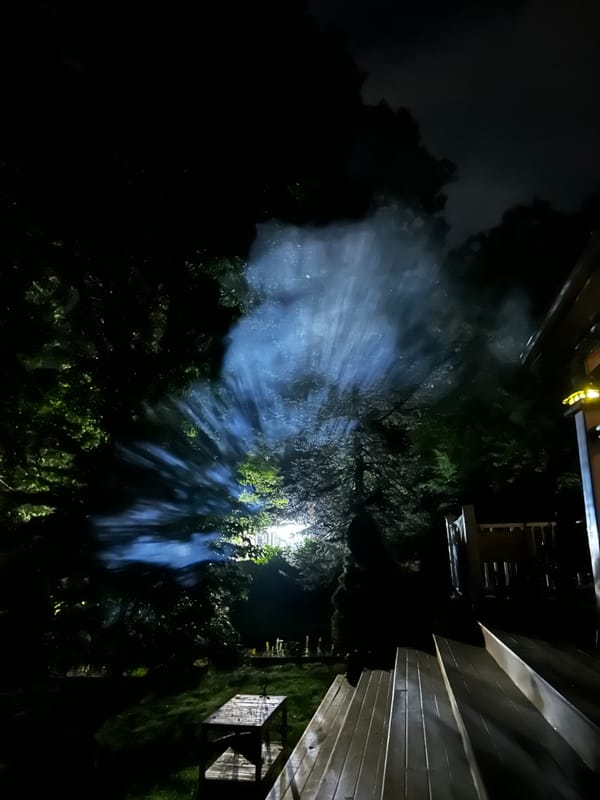 Let Freedom, and Landlines, Ring