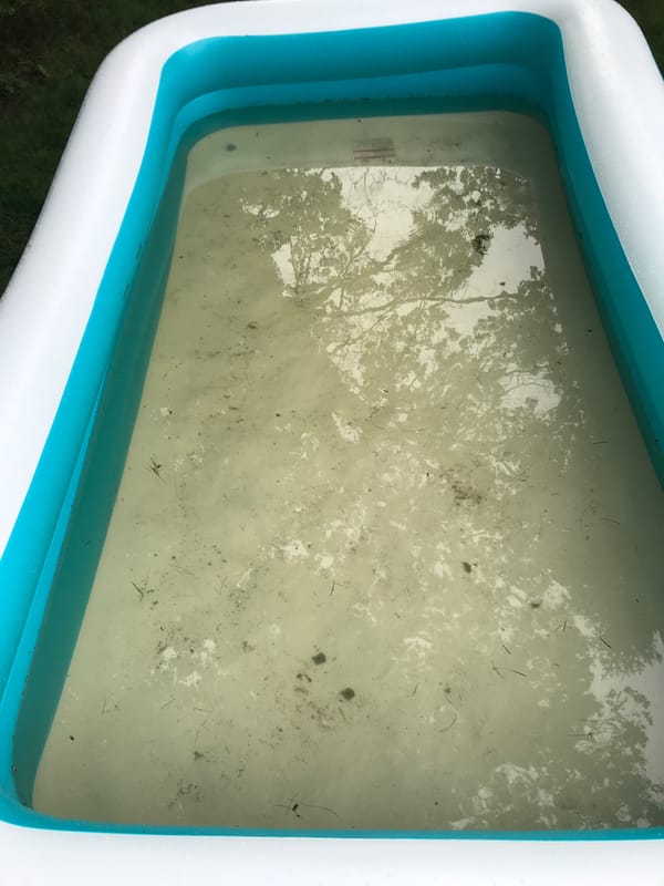 Let's Just Get Through This Alive