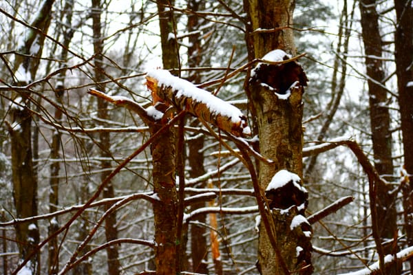 Past, Present, Future